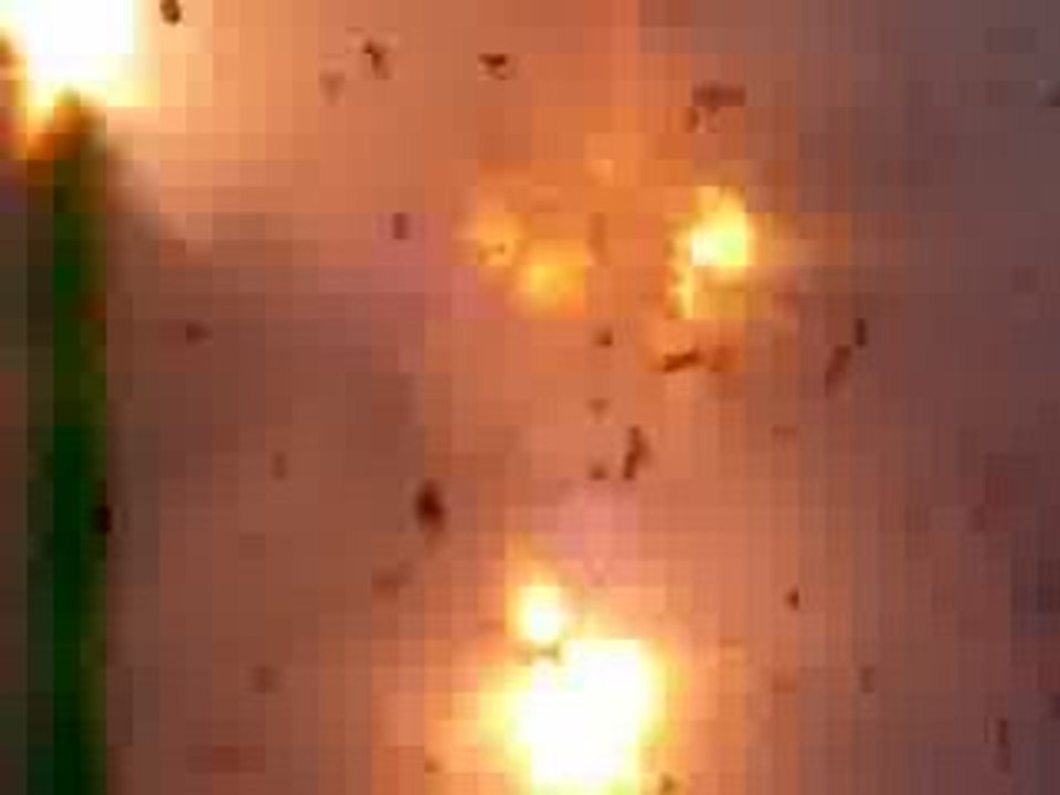 Nouvel an chinois Paris 1 février 2009