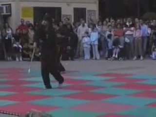 VIET VO DAO démo