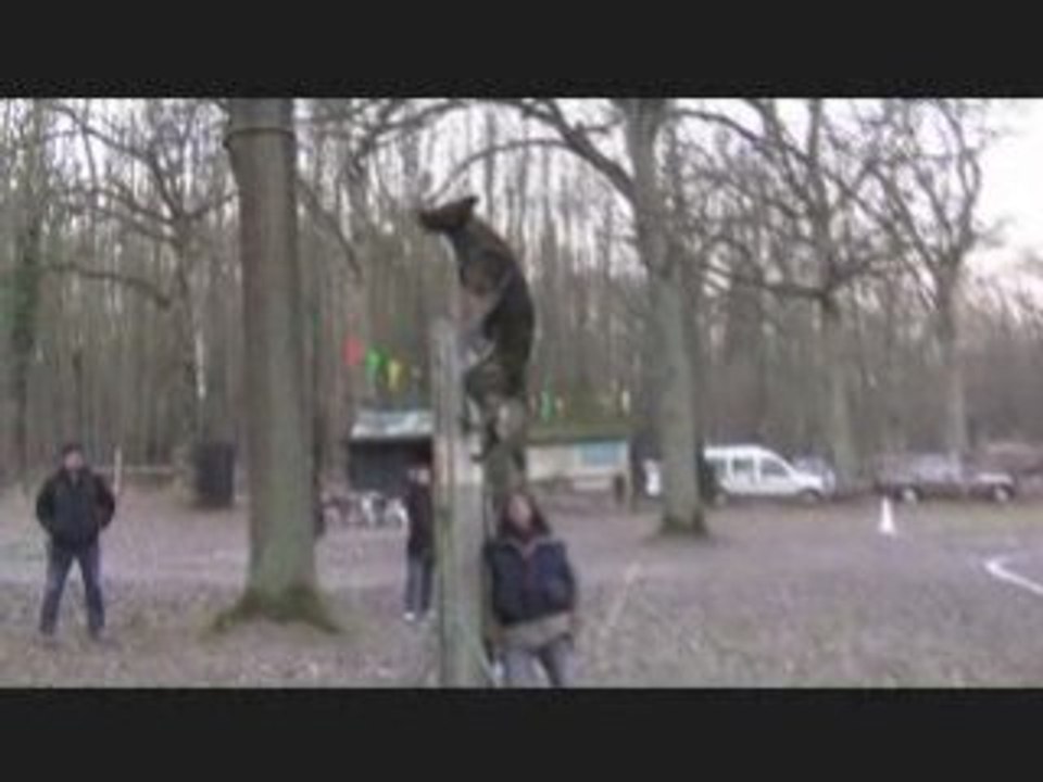 Baltik à Ste-Geneviève Fleury