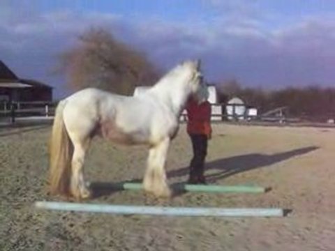 détente après cours ethologie