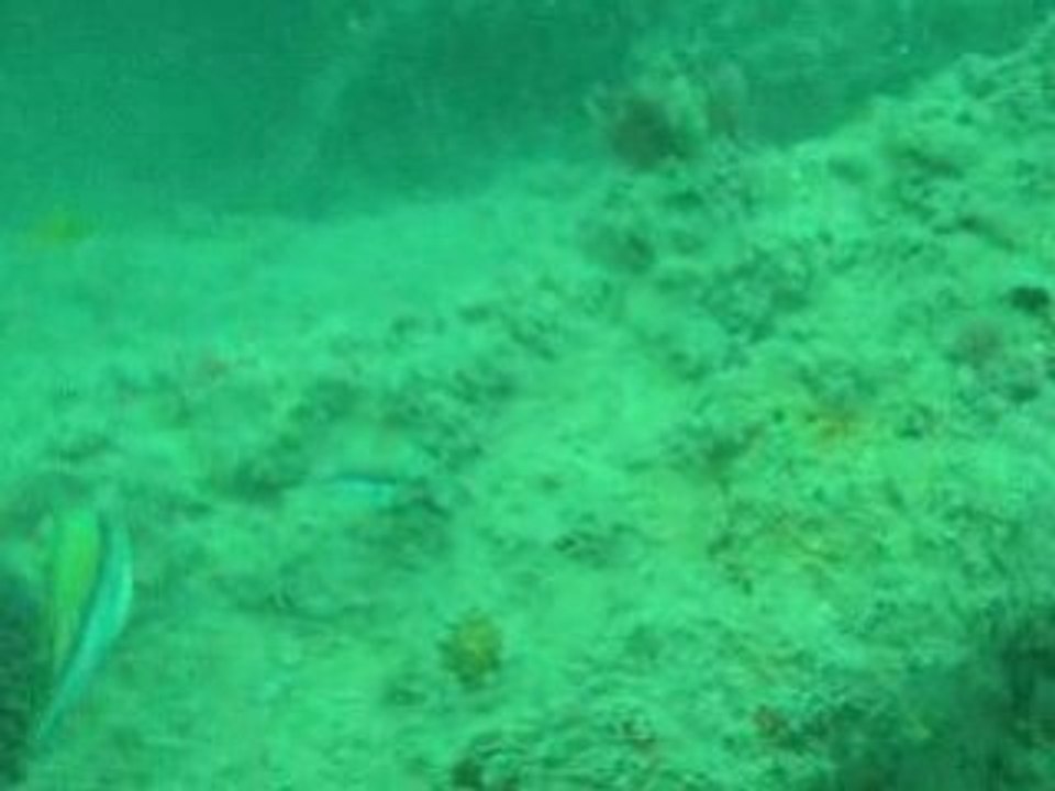 plongée bresil (salvador de bahia) Epave janv 2009