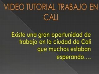 Buscas trabajo en cali?