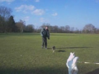 Nube en promenade au parc de Noisiel