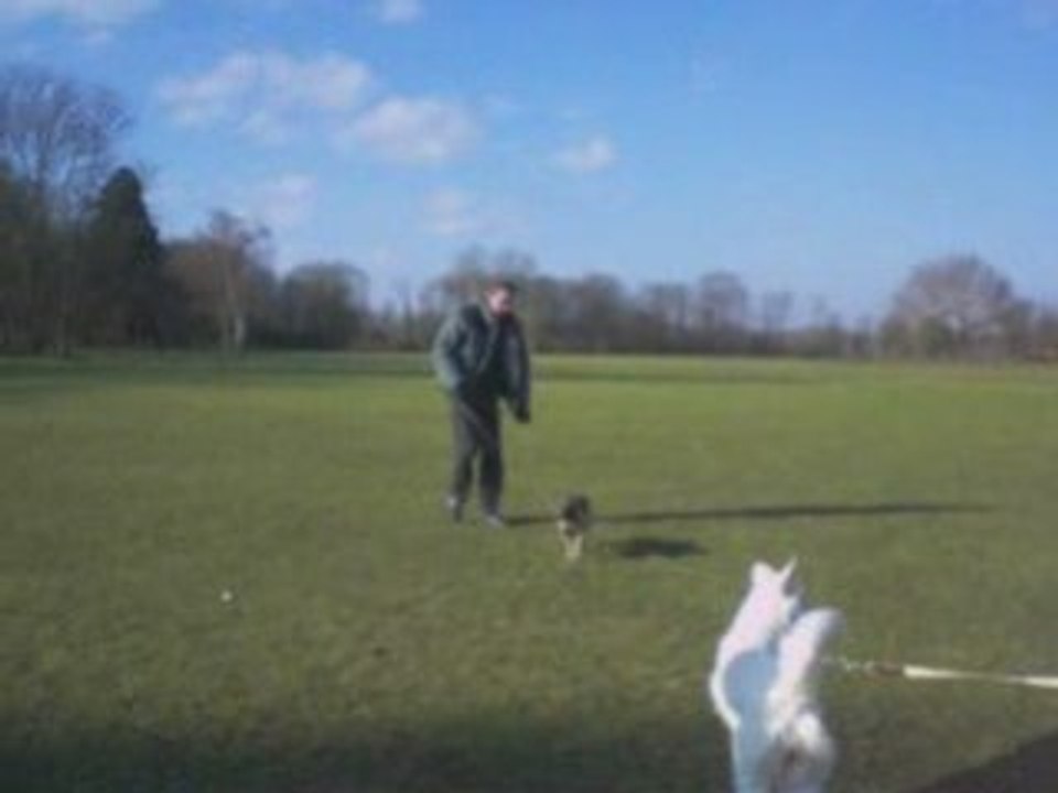 Nube en promenade au parc de Noisiel