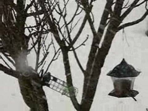 Tempête de neige du 2 février 2009 au matin