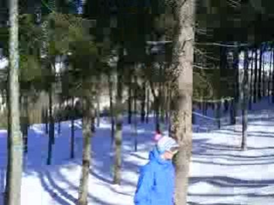 ski feldberg
