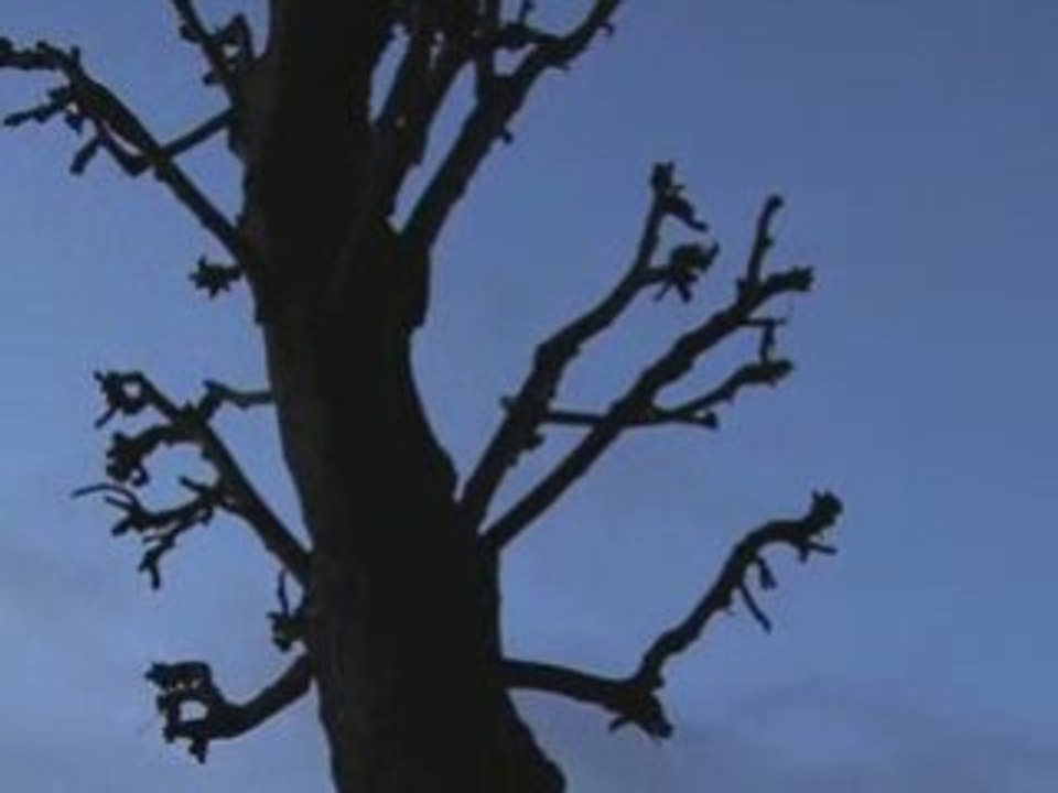 LE MONDE DU JARDIN