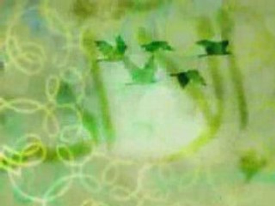 كليب شموس النور