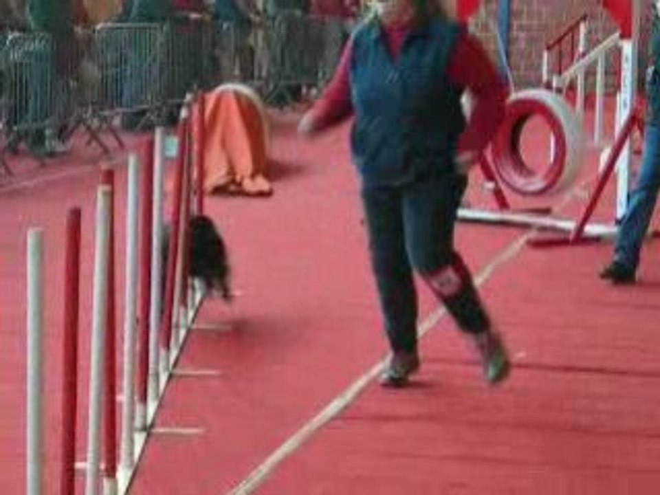 agility Tiféne 2 em degré aire sur la lys