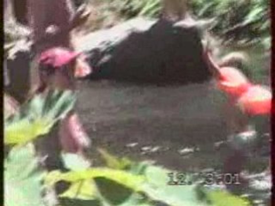 2001.03 La reunion 1/3