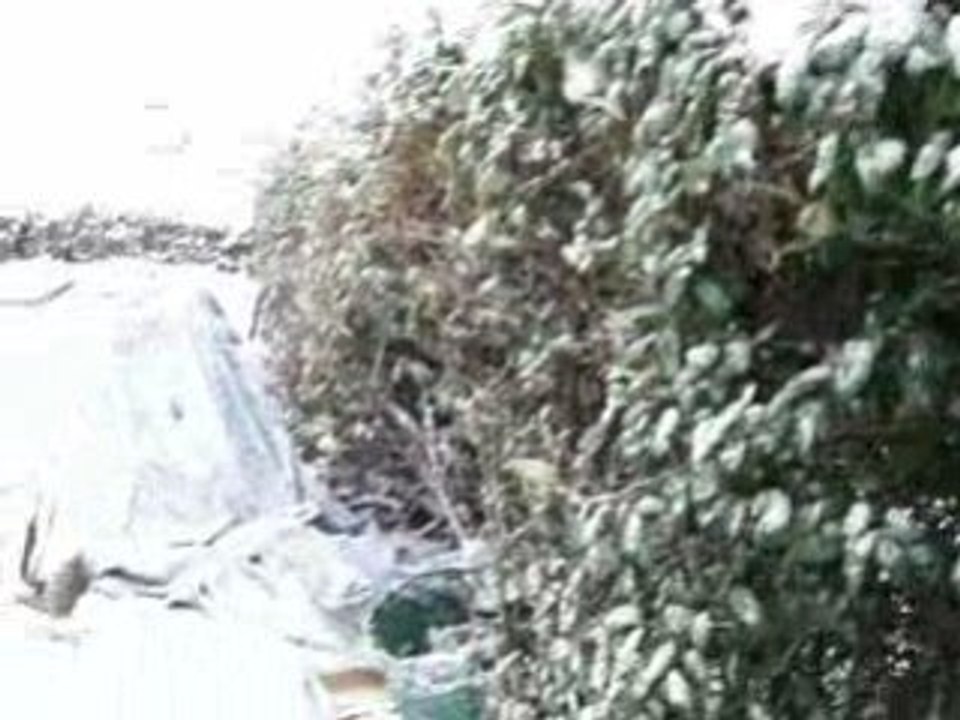 Tombe la neige