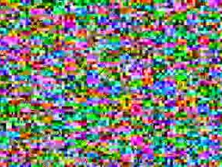 DoggieDoors - Petsafe Pet Doors For Your Dog or Cat