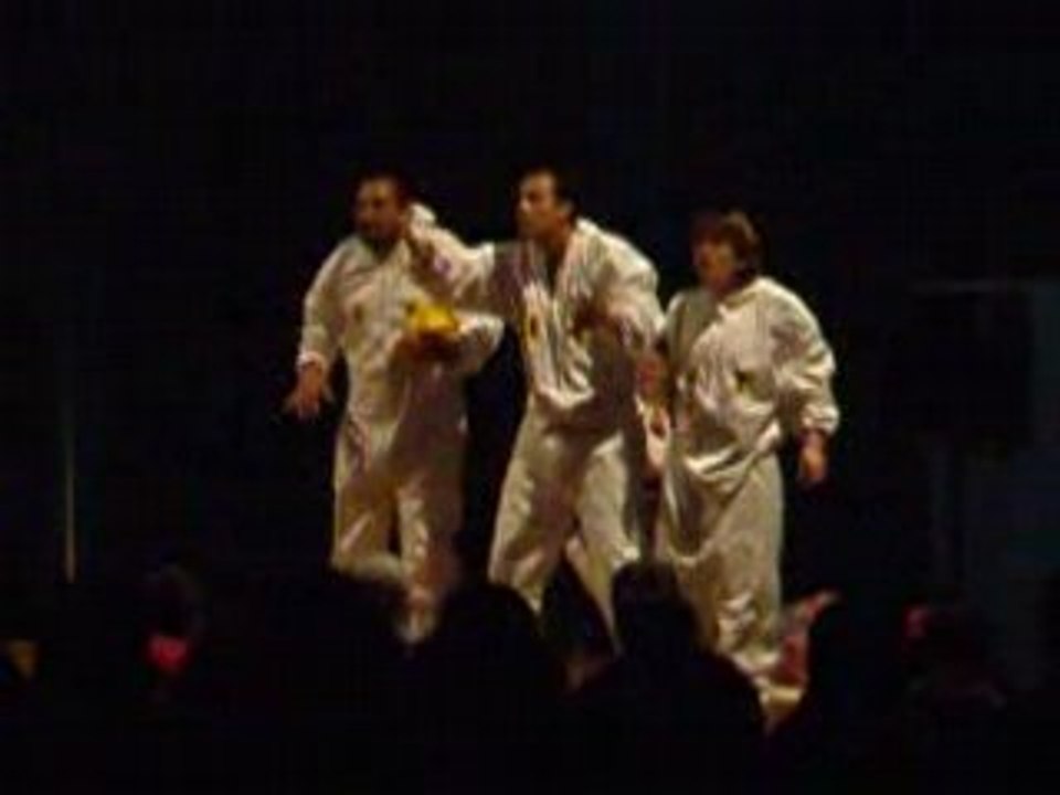 IMPROVISADES ECO2 IMPRO