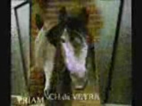 LES ECURIES DE PETIT LOUP VAUX EN AMIENOIS visite guidée