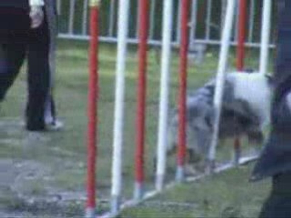 Ollioules OPEN Baxter