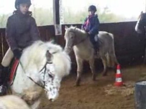 Cours de Stéphanie Première Séance
