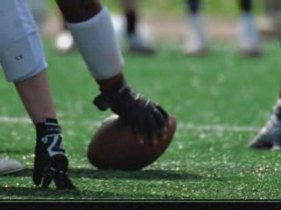 Les patriotes  riedisheim