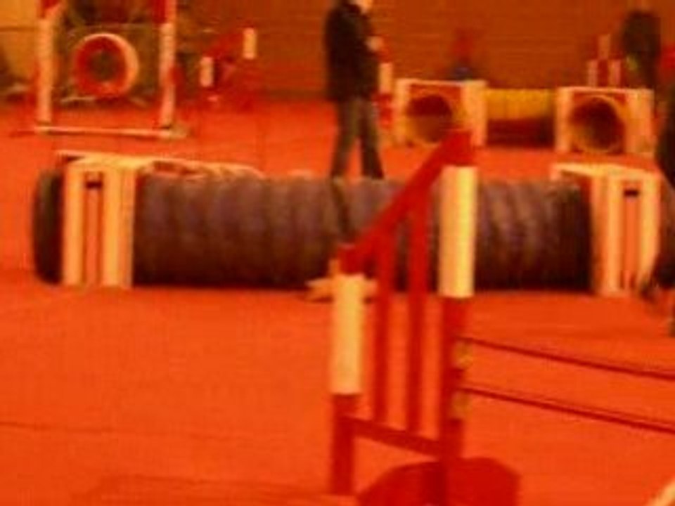 Umi jumping aire sur la lys