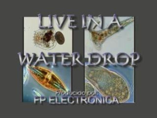 LIVE IN A WATER DROP