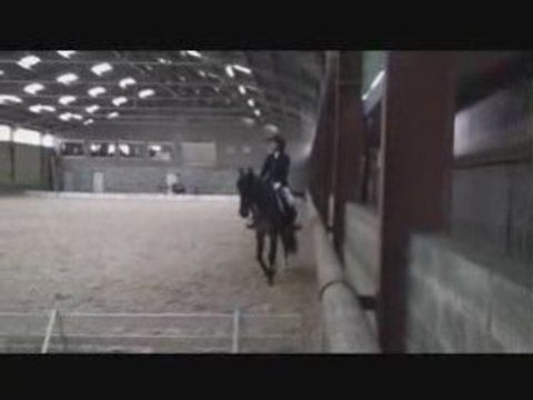 Julie et Eros Dressage à Clairefontaine