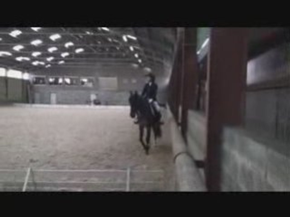 Julie et Eros Dressage à Clairefontaine