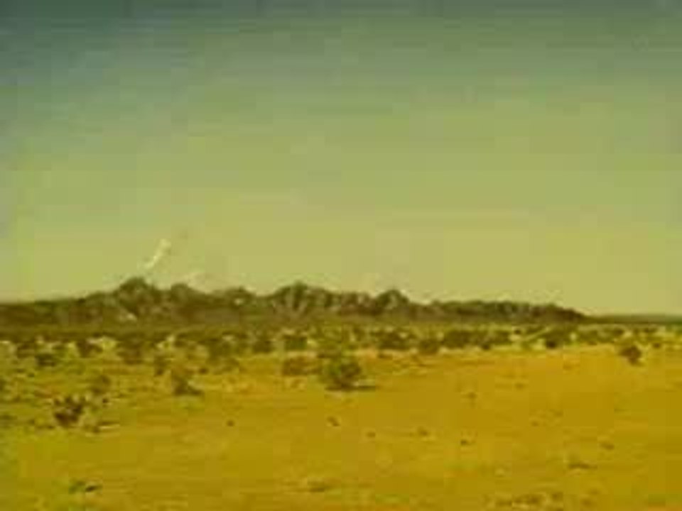 rhino