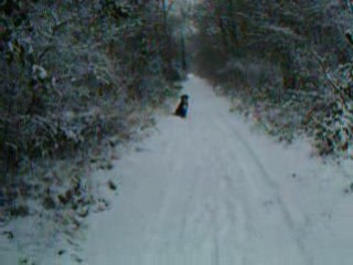 Drack assis pas bougé