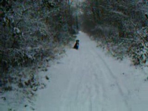 Drack assis pas bougé