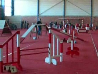 agility Arwen gpf aire sur la lys