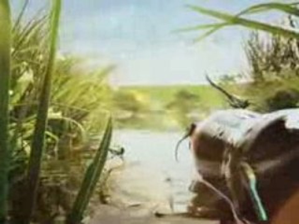 Pub coca cola vol