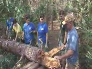 Working @ BIG CAT RESCUE!