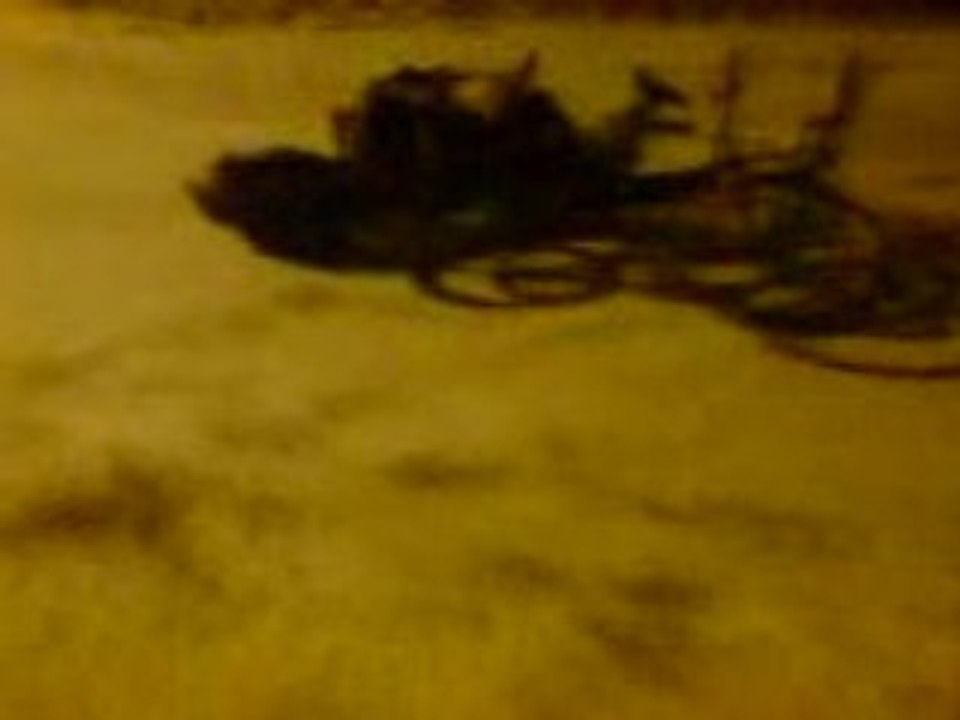 MOV00559
