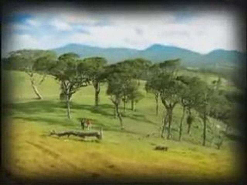 sri lanka song supem suwandak aran