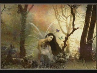 ΑΝΘΡΩΠΟΙ ΜΟΝΑΧΟΙ-ΒΙΚΥ ΜΟΣΧΟΛΙΟΥ