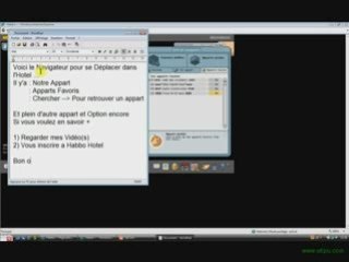 Présentation de Habbo Hotel