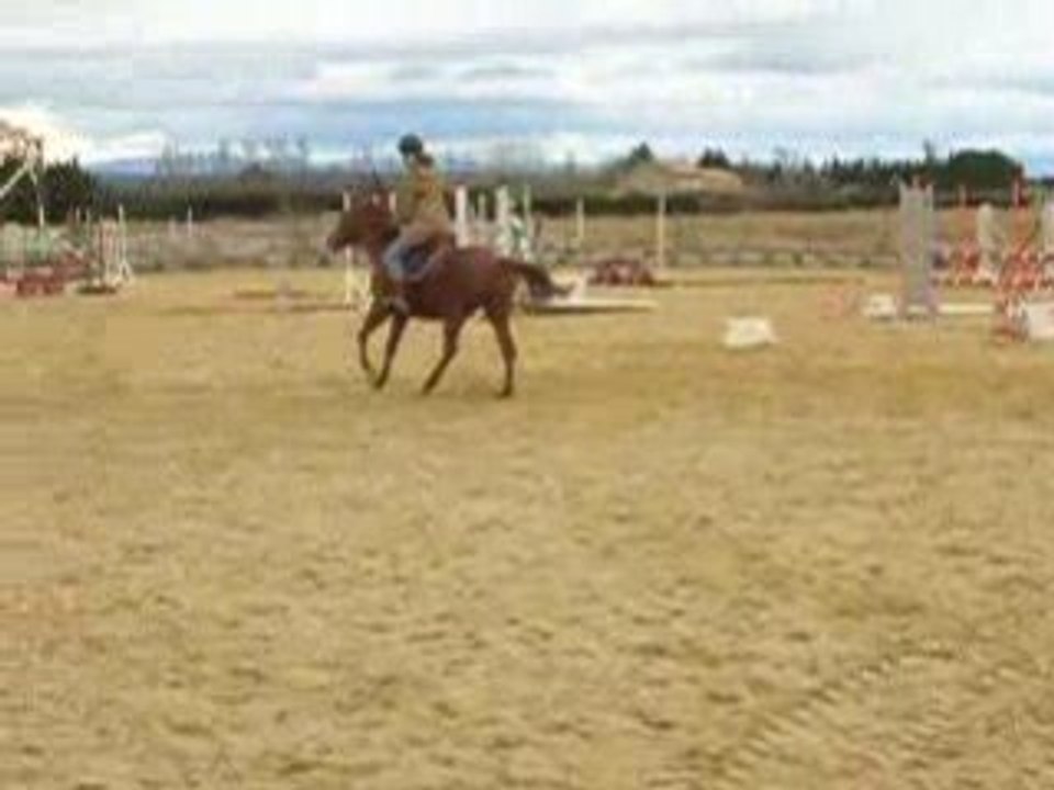 Gallop ok