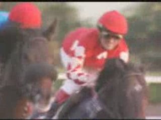 Jockeys - Old vs Cocky