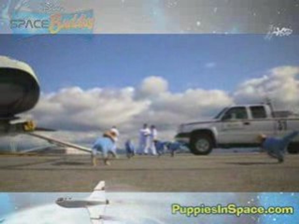BRING ON THE PUPPIES - New Space Buddies Clip