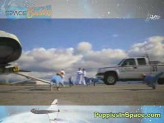 BRING ON THE PUPPIES - New Space Buddies Clip