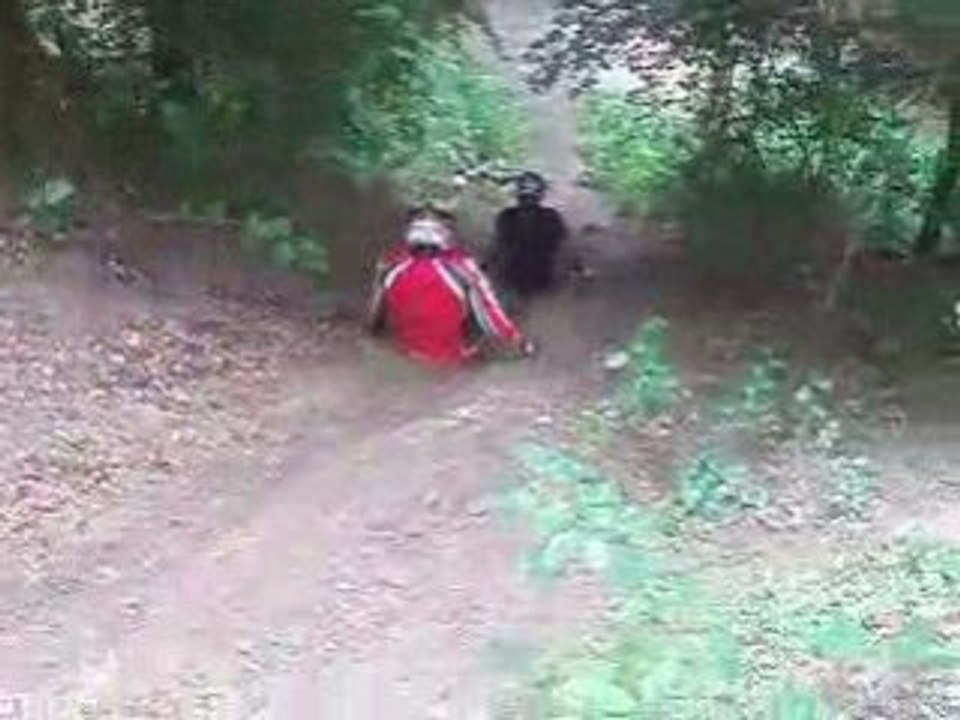 [MX FMX] REGIS Descente facile en Motocross [Goodspeed]