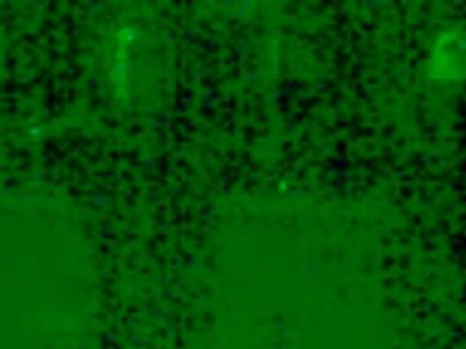 MOV04919