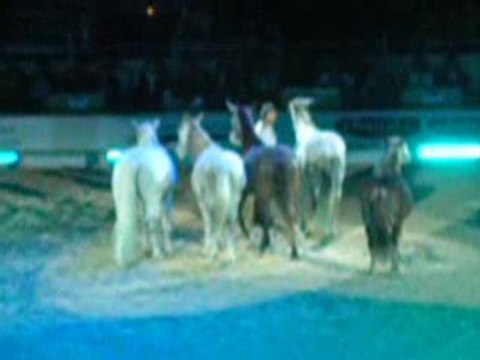 Jean-françois Pignon criniere d'or 2009 videos 2