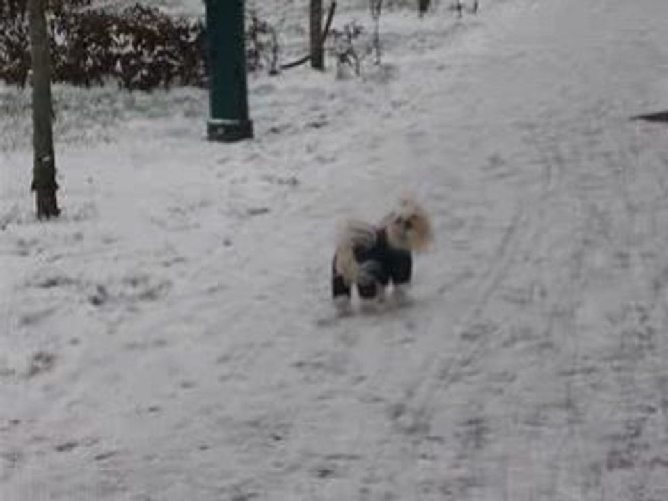 1er jour de neige avec mon manteau