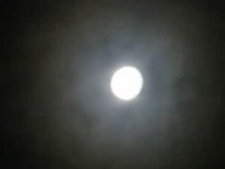 TODESBONDEN - AENGUS OG FIDDLE