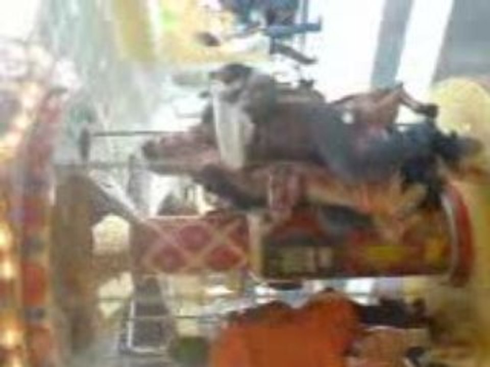 1erB à Tournai L'année Passé