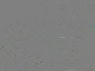 Saltwater Fly Fishing Store in New Orleans Louisiana