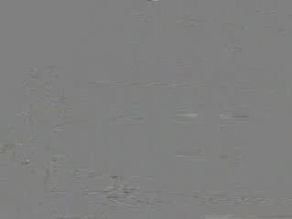 Saltwater Fly Fishing Store in New Orleans Louisiana