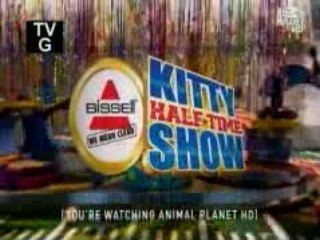 Puppy Bowl V: The Kitty Half-Time Show 2009