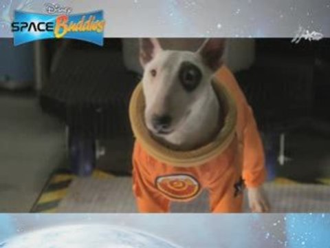 American Buds - Space Buddies