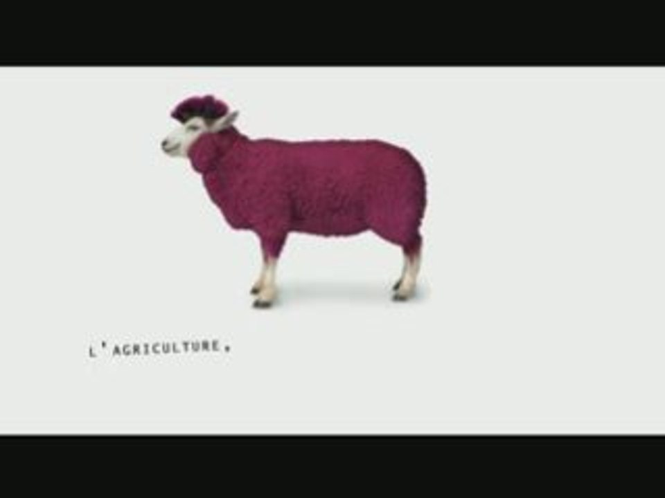 L'agriculture, des métiers à la mode - Le mouton